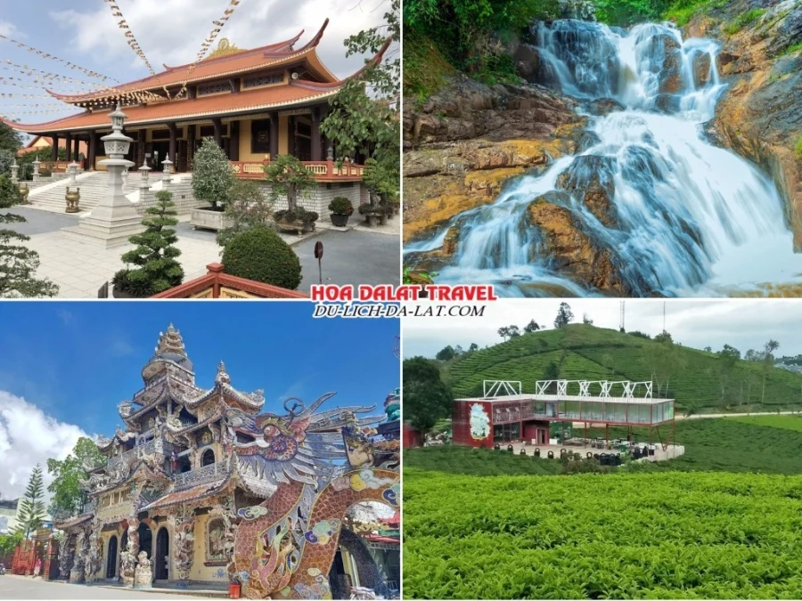 Những điểm nổi bật trong chương trình tour Hải Phòng Đà Lạt 3n2đ như Thiền viện Trúc Lâm, Thác Datanla, chùa Linh Phước, đồi chè Cầu Đất