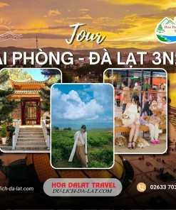 Tour Hải Phòng Đà Lạt 3 ngày 2 đêm