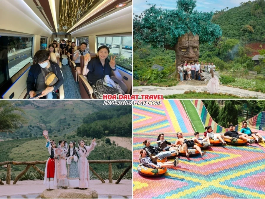 Lịch trình chi tiết tour khám phá điểm mới Đà Lạt: đón khách, tham quan GOD Valley, Mongo Land, trượt phao khô