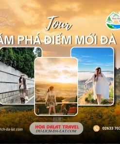 Tour khám phá điểm mới Đà Lạt