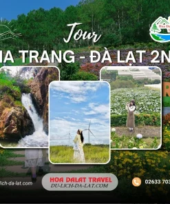 Tour Nha Trang Đà Lạt 2 ngày 1 đêm