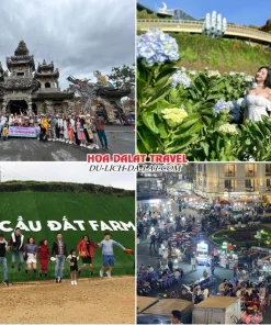 Lịch trình chiều và tối ngày 1 tour Nha Trang Đà Lạt 2 ngày 1 đêm trọn gói: tham quan Chùa Ve Chai, Đồi hoa Cẩm tú cầu, Đồi chè Cầu Đất, khám phá chợ đêm Đà Lạt