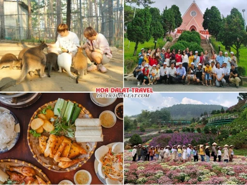 Lịch trình ngày 2 tour Nha Trang Đà Lạt 2 ngày 1 đêm trọn gói: Tham quan Sở thú Zoodoo, Nhà thờ Domaine De Marie, ăn trưa tại nhà hàng, tham quan Puppy Farm