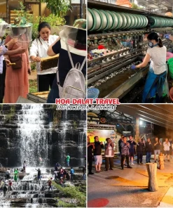 Lịch trình chiều và tối ngày 2 tour Nha Trang Đà Lạt 2 ngày 1 đêm ghép đoàn: thăm nông trại nuôi ong, Cường Hoàn Silk, thác Pongour, giao lưu văn hóa Cồng Chiêng