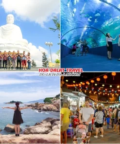 Lịch trình ngày 3 tour Nha Trang Đà Lạt 4 ngày 3 đêm ghép đoàn: tham quan Chùa Long Sơn, Viện Hải Dương Học Nha Trang, Hòn Chồng, chợ đêm Nha Trang