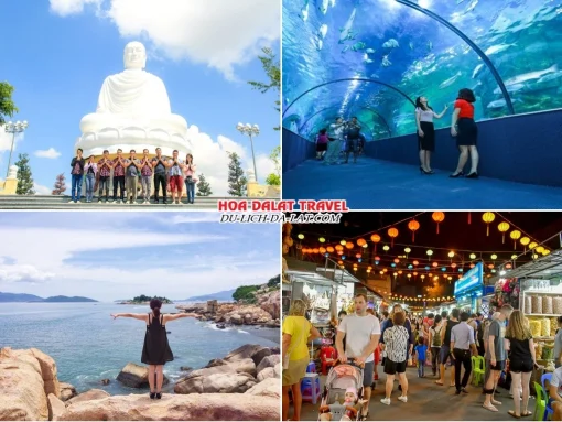 Lịch trình ngày 3 tour Nha Trang Đà Lạt 4 ngày 3 đêm ghép đoàn: tham quan Chùa Long Sơn, Viện Hải Dương Học Nha Trang, Hòn Chồng, chợ đêm Nha Trang