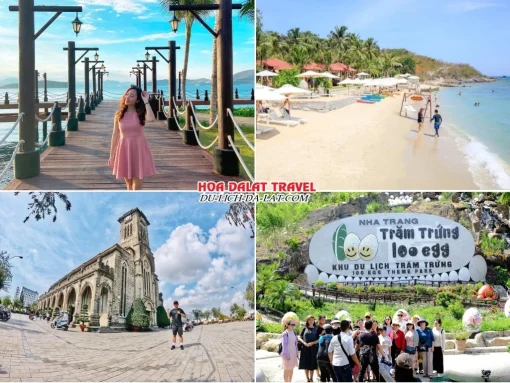 Lịch trình ngày 4 tour Nha Trang Đà Lạt 4 ngày 3 đêm ghép đoàn: Tham quan cảng Cầu Đá, vịnh San Hô 2, Nhà thờ Đá, Khu du lịch Trăm Trứng