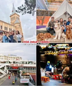 Lịch trình chiều tối ngày 1 tour Nha Trang Đà Lạt 4 ngày 3 đêm: tham quan Nhà thờ Con Gà, Nông trại cún Puppy Farm, chợ Đà Lạt, hồ Xuân Hương