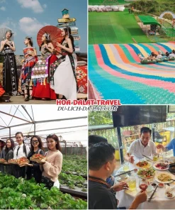 Lịch trình sáng ngày 2 tour Nha Trang Đà Lạt 4 ngày 3 đêm: tham quan Dapa Hill, trượt phao khô, Vườn dâu tây, ăn uống