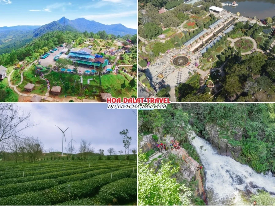 Tour Bình Thuận Phan Thiết Đà Lạt 3 ngày 2 đêm tham quan nhiều điểm đến thú vị như Langbiang, vườn hoa thành phố, đồi chè Cầu Đất, Thác Datanla