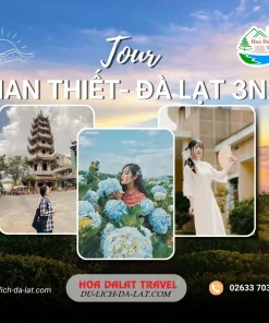 Tour Phan Thiết Đà Lạt 3 ngày 2 đêm