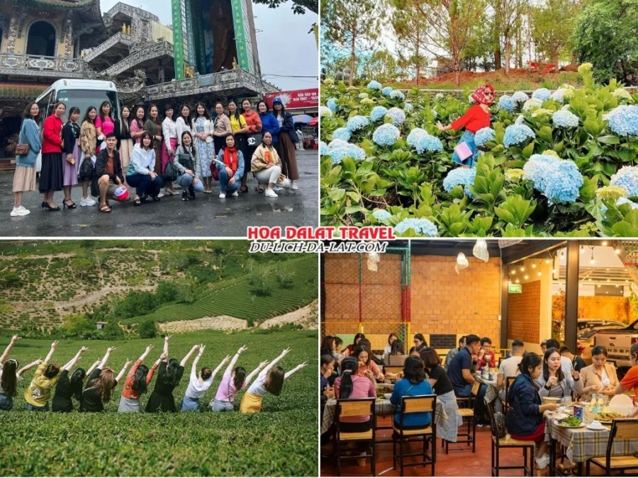 Lịch trình chiều ngày 1 tour Bình Thuận Đà Lạt 3 ngày 2 đêm trọn gói: tham quan Chùa Ve Chai, Vườn hoa Cẩm Tú Cầu, Đồi chè Cầu Đất, thưởng thức bữa tối