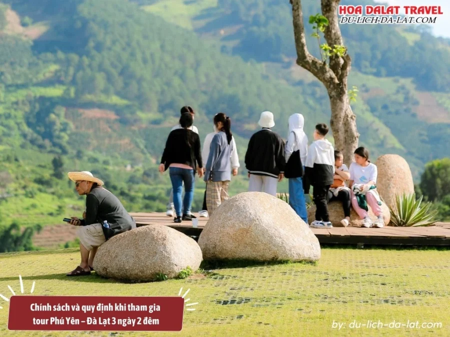 Chính sách và quy định khi tham gia tour Phú Yên Đà Lạt 3 ngày 2 đêm