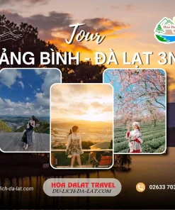 Tour Quảng Bình Đà Lạt 3 ngày 2 đêm