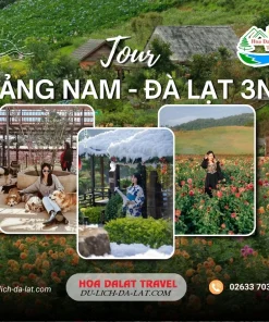 Tour Quảng Nam Đà Lạt 3 ngày 2 đêm