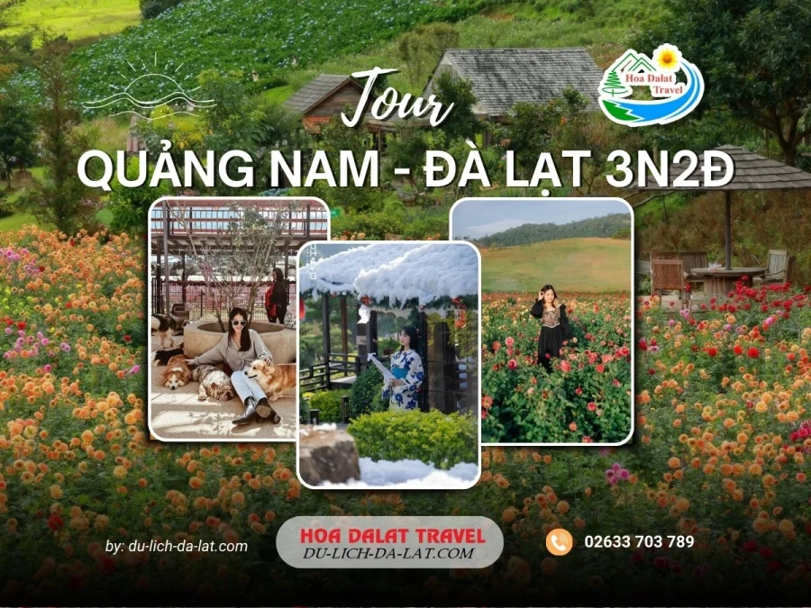 Tour Quảng Nam Đà Lạt 3 ngày 2 đêm