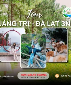 Tour Quảng Trị Đà Lạt 3 ngày 2 đêm