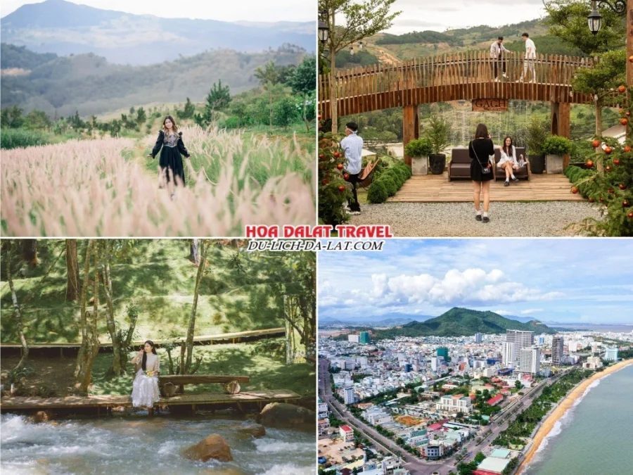 Lịch trình chiều ngày 3 tour Quy Nhơn Đà Lạt 3n2đ ghép đoàn tham quan The Florest Hoa Trong Rừng, quán cà phê Gạch Since 1988, Vườn Địa Đàng và trở về Quy Nhơn