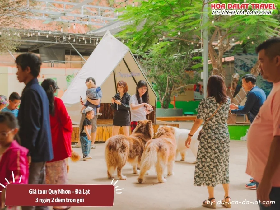 Giá tour Quy Nhơn – Đà Lạt 3 ngày 2 đêm trọn gói từ 2.450.000 đồng đến 3.350.000 đồng 1 người