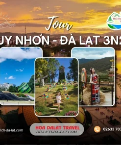 Tour Quy Nhơn Đà Lạt 3 ngày 2 đêm