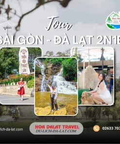 Tour Sài Gòn Đà Lạt 2 ngày 1 đêm