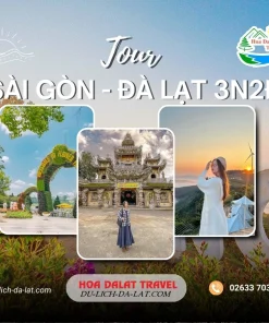 Tour Sài Gòn Đà Lạt 3 ngày 2 đêm