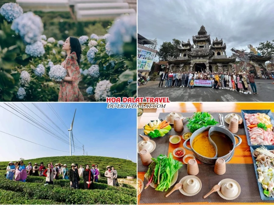 Lịch trình chiều ngày 1 tour Sài Gòn Đà Lạt 3 ngày 2 đêm trọn gói check in Đồi hoa Cẩm Tú Cầu, Chùa Linh Phước, Đồi chè Cầu Đất, dùng bữa tối buffet lẩu rau Leguda