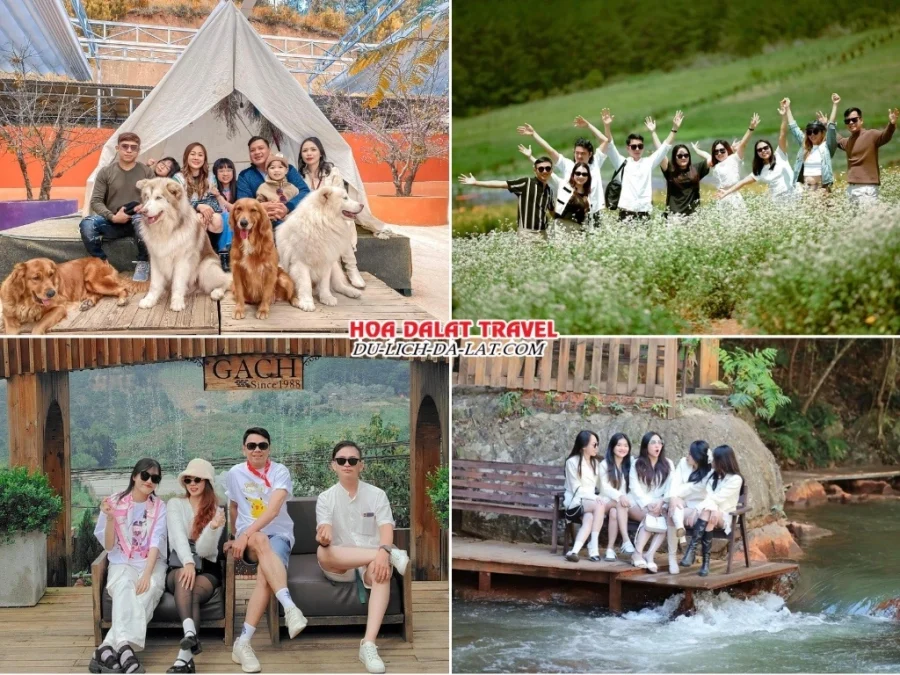 Lịch trình sáng, chiều ngày 2 tour Sài Gòn đi Đà Lạt bằng máy bay 3n2đ trọn gói tham quan Puppy Farm, The Florest, Gạch Since 1988, Vườn Địa Đàng