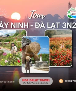 Tour Tây Ninh Đà Lạt 3 ngày 2 đêm