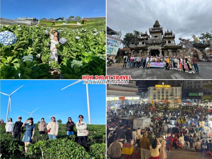 Lịch trình chiều ngày 1 tour Tây Ninh Đà Lạt 3N2Đ trọn gói tham quan Cánh đồng hoa Cẩm Tú Cầu, Chùa Linh Phước, Đồi chè Cầu Đất, khám phá thành phố Đà Lạt về đêm