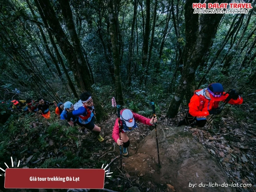 Giá tour trekking Đà Lạt là 900.000 đồng một người