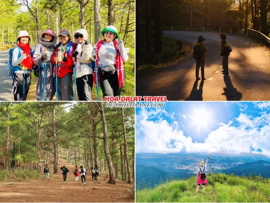 Lịch trình buổi sáng tour trekking núi Langbiang Đà Lạt: đến chân núi Langbiang, di chuyển qua cung đường nhựa, trekking xuyên rừng thông, ngắm cảnh từ đỉnh Radar