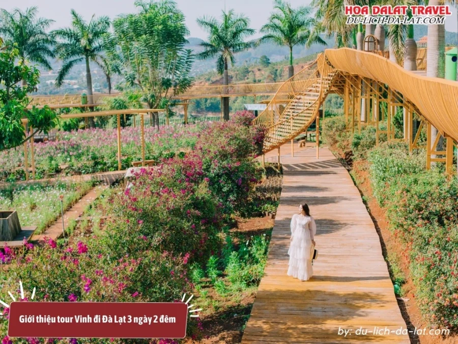 Tour Vinh đi Đà Lạt 3 ngày 2 đêm của Du-Lich-Da-Lat Com