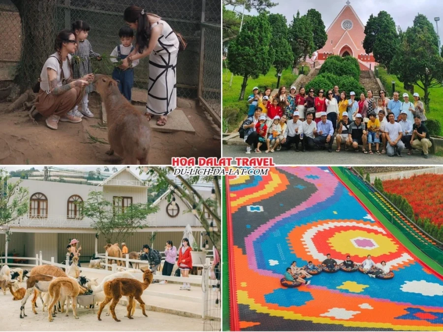 Lịch trình ngày 3 tour Vinh Nghệ An đi Đà Lạt 3N2Đ ghép đoàn tham quan Sở thú Zoodoo, Nhà thờ Domain De Marie, Puppy Farm