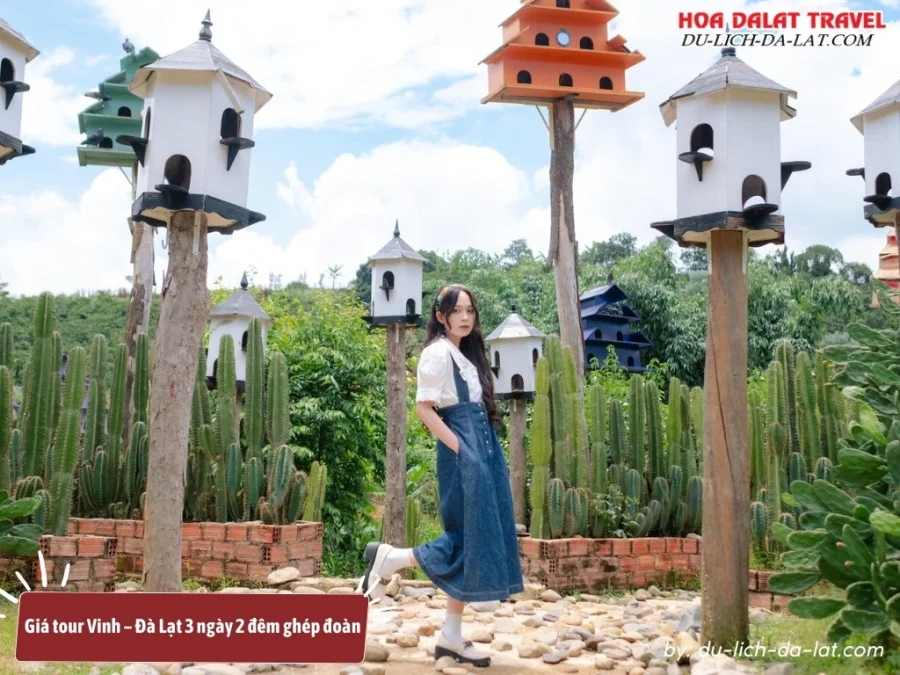 Giá tour ghép đoàn Vinh Đà Lạt 3 ngày 2 đêm từ 1.500.000 đồng đến 2.500.000 đồng 1 người tùy theo tiêu chuẩn khách sạn