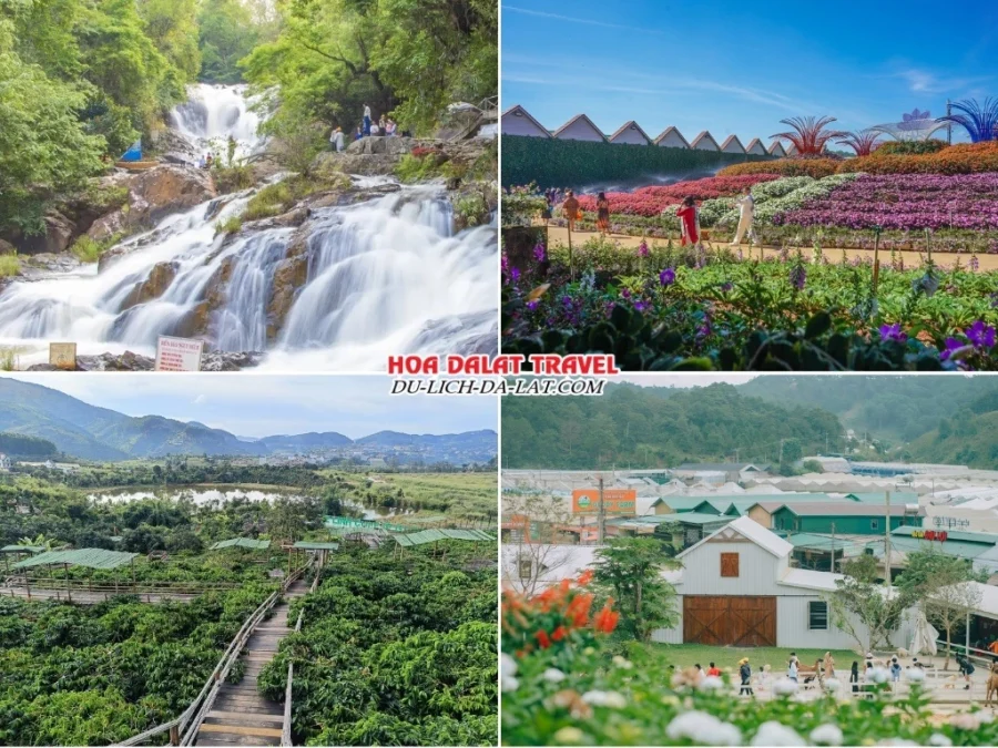 Các điểm đến đặc biệt trong tour Vinh Đà Lạt 3 ngày 2 đêm như thác Datanla, Làng hoa Vạn Thành, café Mê Linh, Puppy Farm