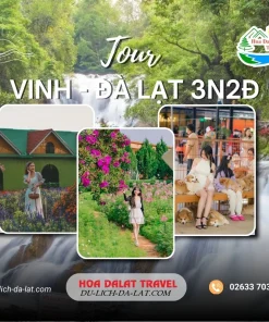 Tour Vinh Đà Lạt 3 ngày 2 đêm