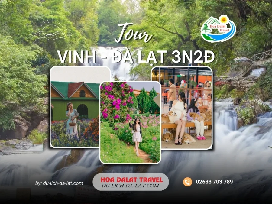 Tour Vinh Đà Lạt 3 ngày 2 đêm