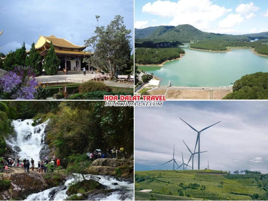 Các điểm đến thú vị trong tour Vũng Tàu Đà Lạt 3 ngày 2 đêm: Tham quan Thiền Viện Trúc Lâm, hồ Tuyền Lâm, thác Datanla, đồi chè Cầu Đất