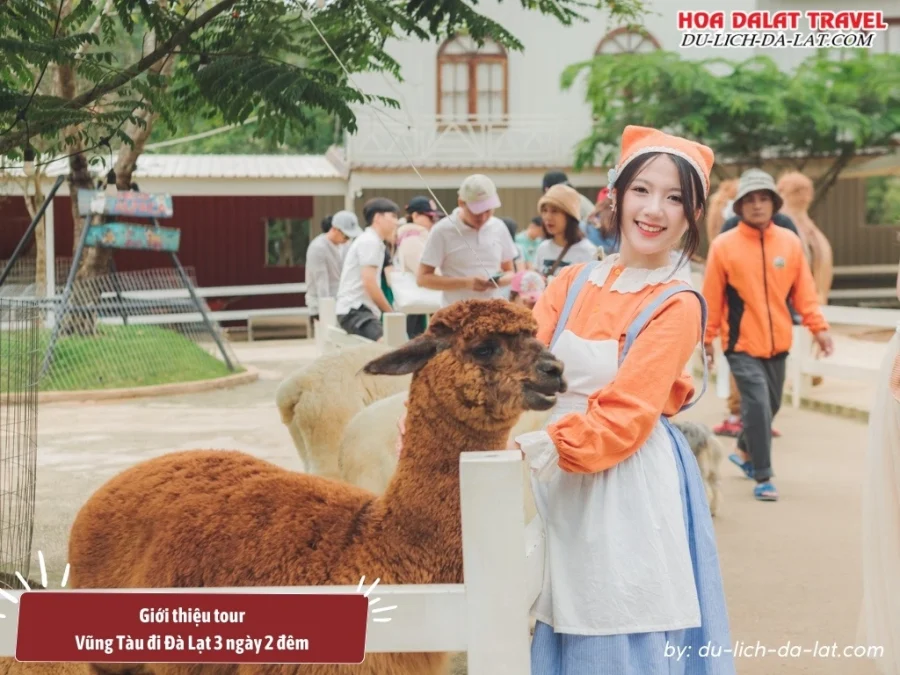 Giới thiệu tour Vũng Tàu đi Đà Lạt 3 ngày 2 đêm của Du-Lich-Da-Lat Com