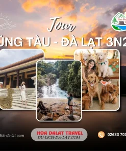 Tour Vũng Tàu Đà Lạt 3 ngày 2 đêm