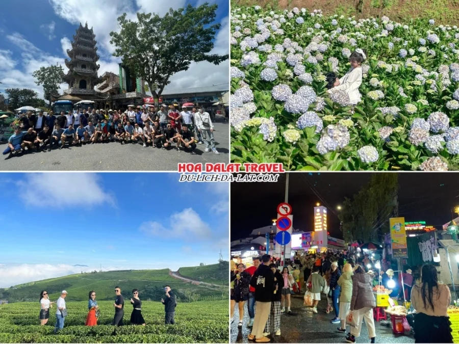 Lịch trình chiều ngày 1 tour trọn gói Vũng Tàu Đà Lạt 3 ngày 2 đêm: tham quan Chùa Linh Phước, Đồi hoa Cẩm Tú Cầu, Đồi chè Cầu Đất, Đà Lạt về đêm