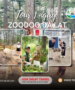 Tour Zoodoo Đà Lạt