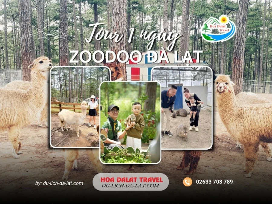 Tour Zoodoo Đà Lạt