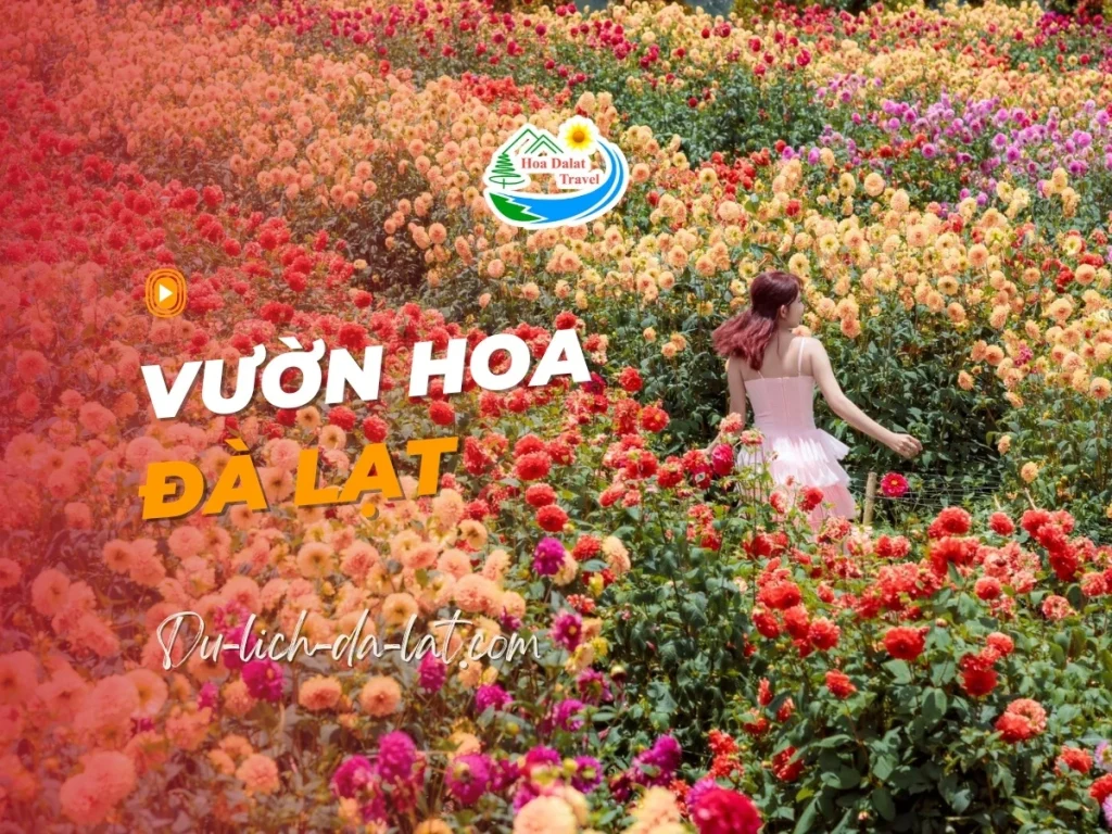 Vườn hoa Đà Lạt