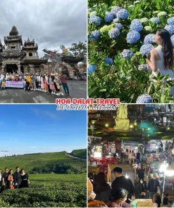 Lịch trình chiều ngày 1 tour Bến Tre Đà Lạt trọn gói 4 ngày 3 đêm tham quan Chùa Linh Phước, Vườn hoa Cẩm Tú Cầu, Đồi chè Cầu Đất Farm, dạo quanh chợ đêm Đà Lạt