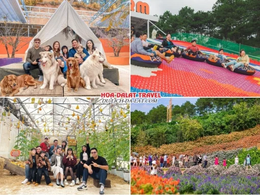 Lịch trình sáng ngày 3 tour Bến Tre Đà Lạt trọn gói 4 ngày 3 đêm khám phá Nông trại cún Puppy Farm, chơi trượt phao khô, Tham quan các khu vườn rau, hoa