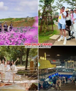 Lịch trình chiều ngày 3 tour Bến Tre Đà Lạt trọn gói 4 ngày 3 đêm tham quan The Florest – Hoa Trong Rừng, Gạch Since 1988, Vườn Địa Đàng, thăm chợ đêm