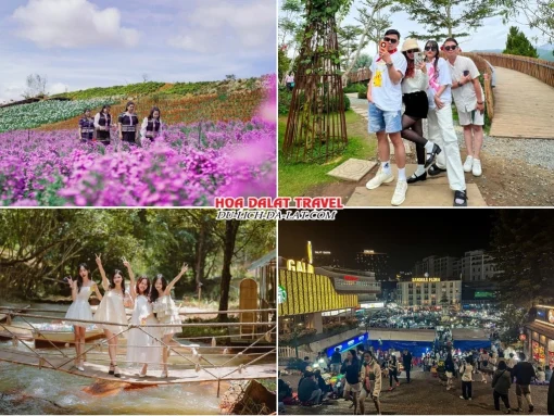 Lịch trình chiều ngày 3 tour Bến Tre Đà Lạt trọn gói 4 ngày 3 đêm tham quan The Florest – Hoa Trong Rừng, Gạch Since 1988, Vườn Địa Đàng, thăm chợ đêm