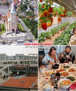 Lịch trình sáng ngày 4 tour Bến Tre Đà Lạt trọn gói 4 ngày 3 đêm tham quan Nhà Thờ Con Gà, Tham quan vườn dâu tây, Chợ Đà Lạt, dùng bữa trưa tại một nhà hàng